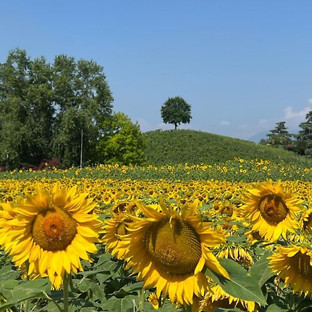 Bed and Breakfast Borghetto San Biagio Relais Agriturismo Тієне Екстер'єр фото